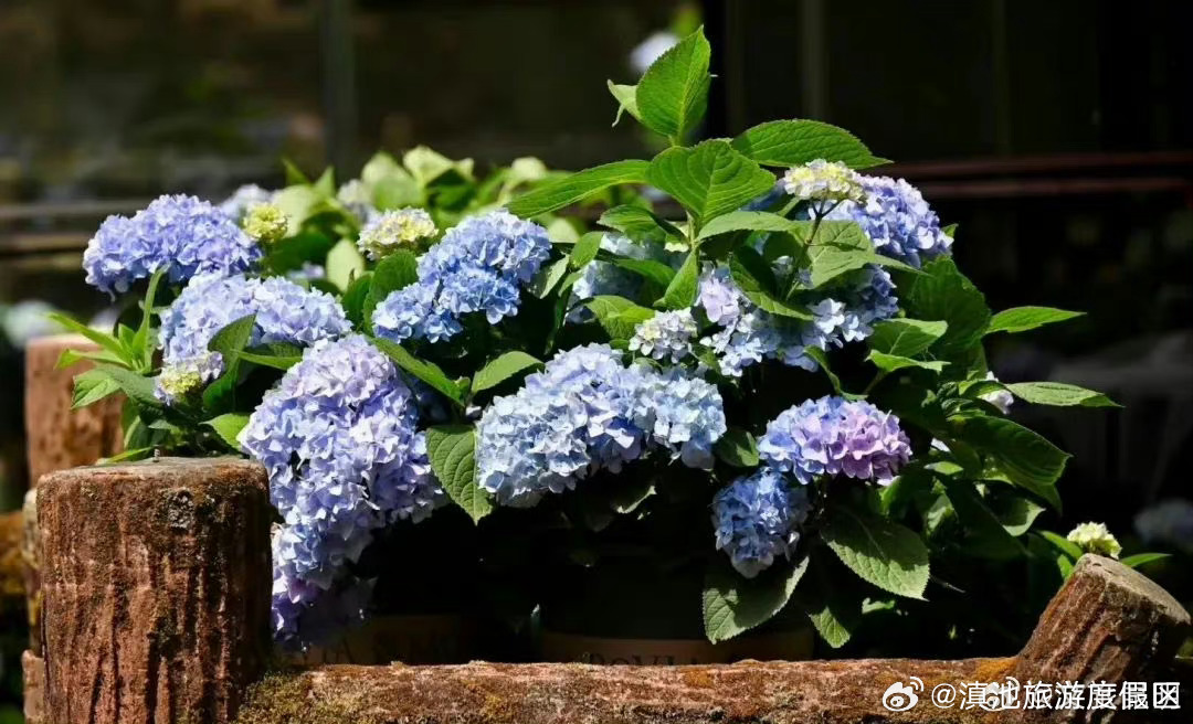 滇池旅游度假区
