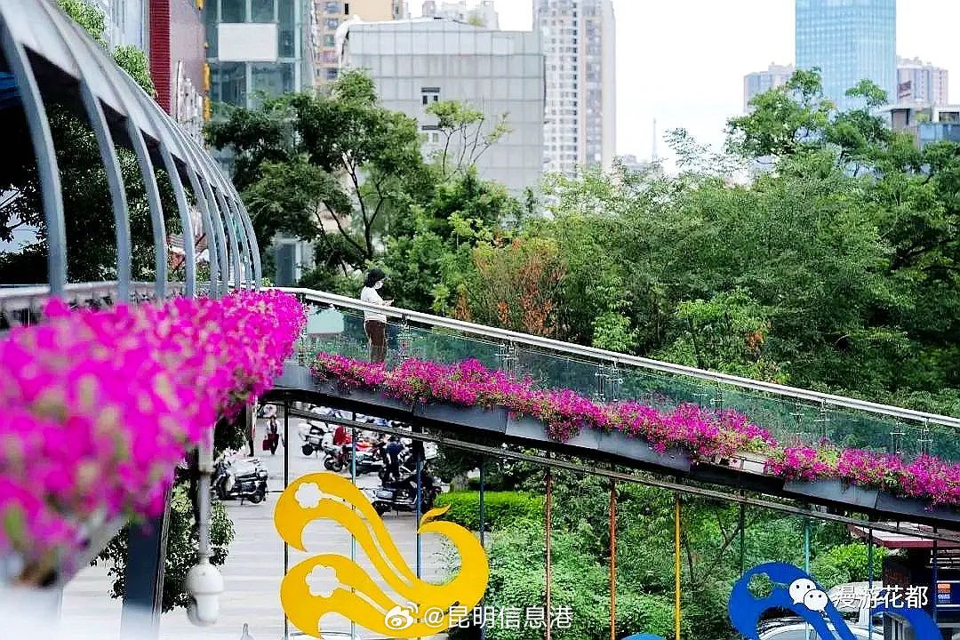昆明信息港微博