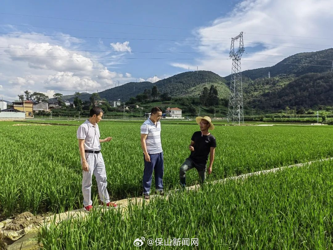 保山新闻网