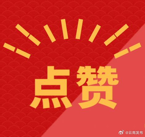 第九届云南文学艺术奖获奖名单公布