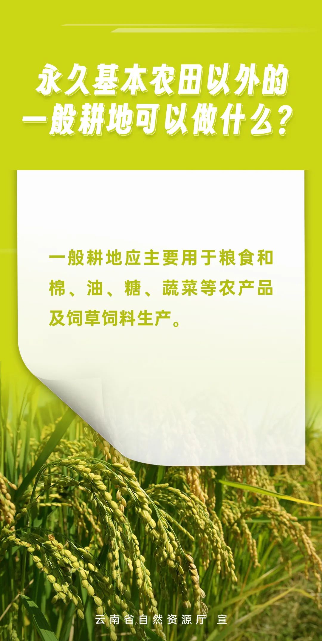 宜良之窗