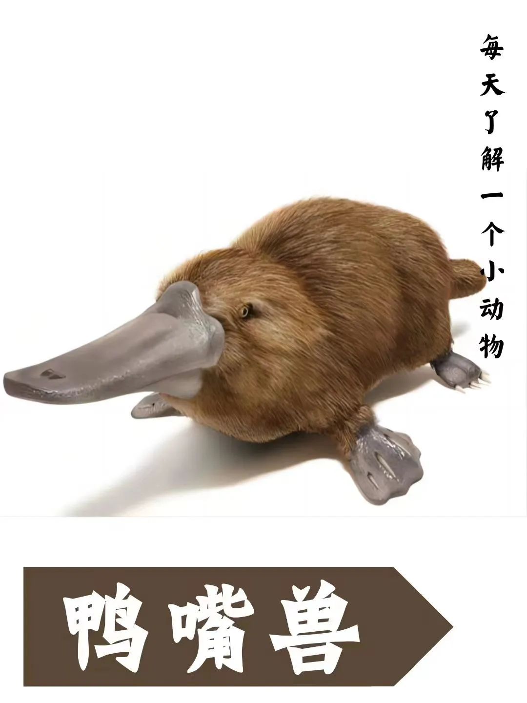昆明市图书馆