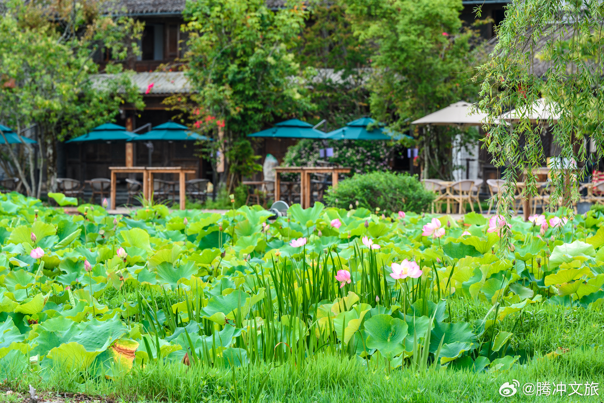 腾冲文旅