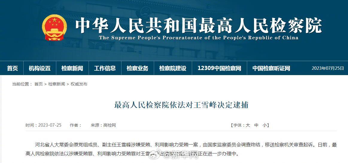 最高人民检察院依法对王雪峰决定逮捕