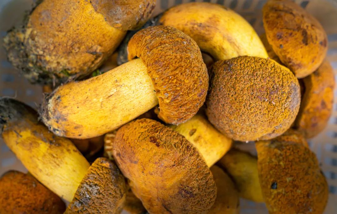 晋宁诗意的栖居地