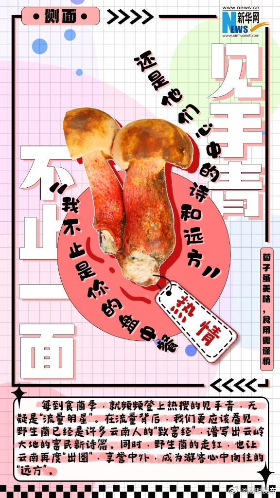 嵩明发布