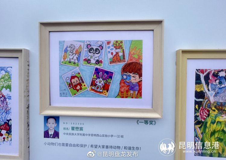 昆明盘龙发布