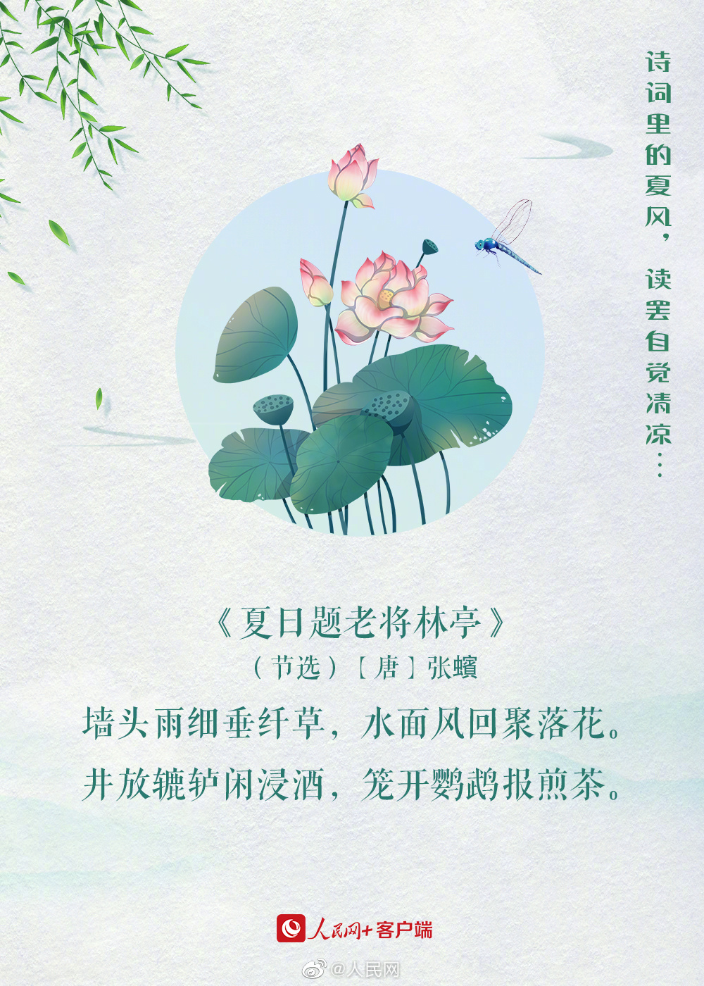 人民网