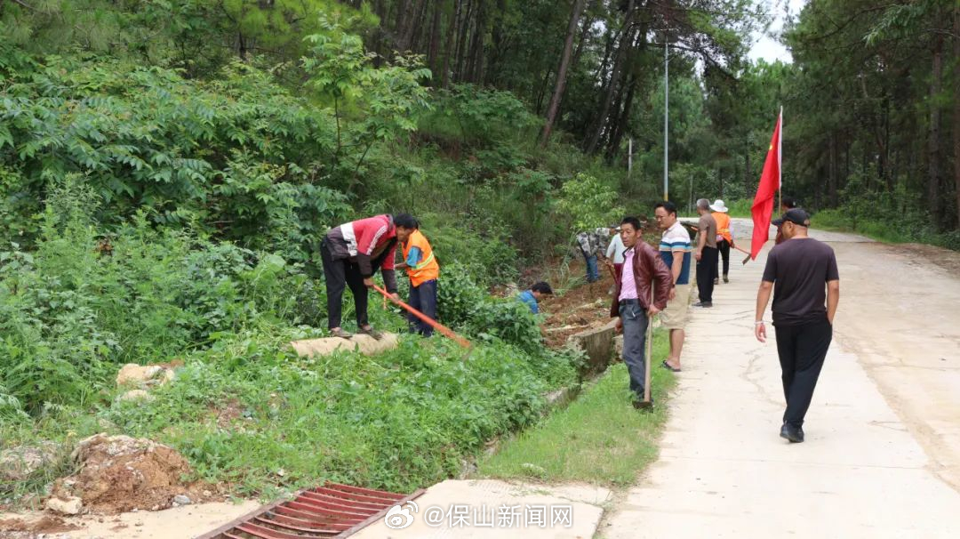 老麦乡：义务植树添新绿 绿美乡村添活力