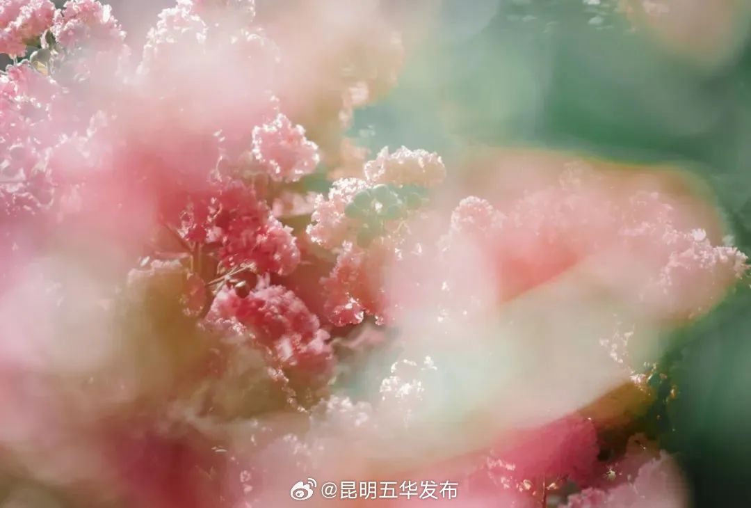 昆明五华发布