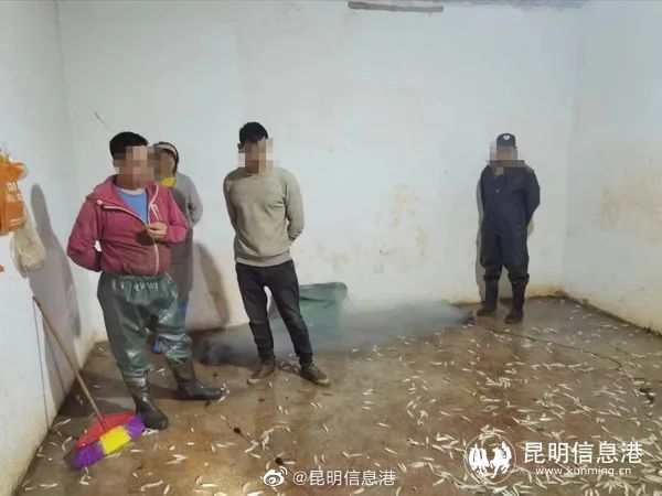 昆明信息港微博