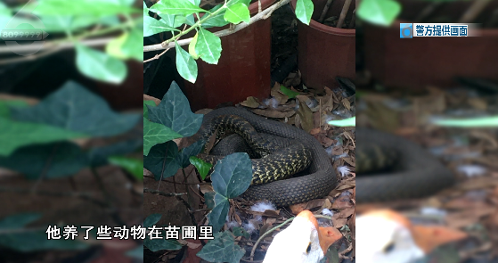 昆明信息港/cnkmxxg
