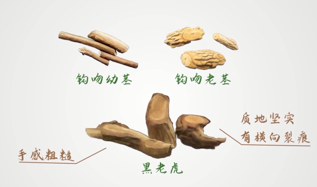 掌上春城微信