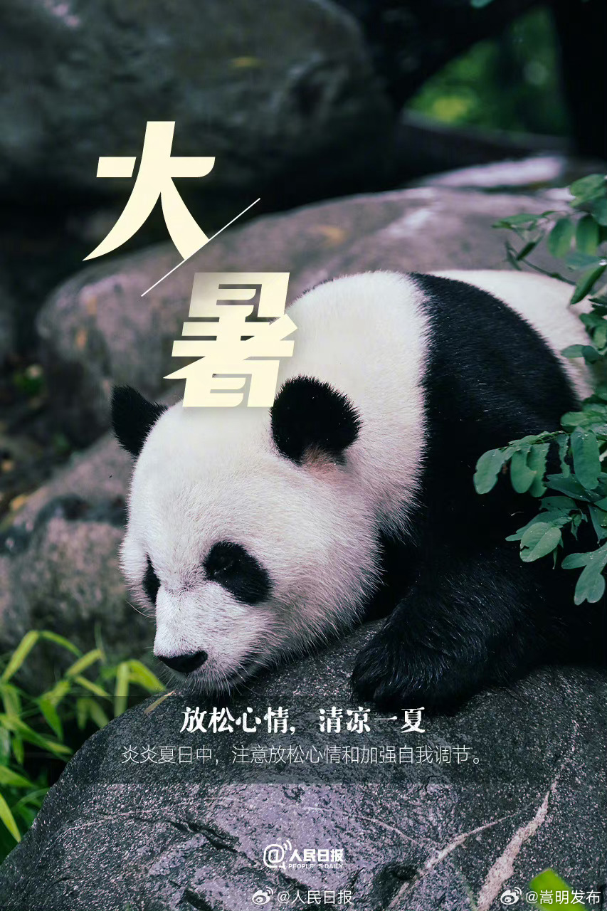 嵩明发布