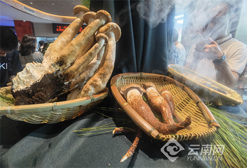云南省文化和旅游厅