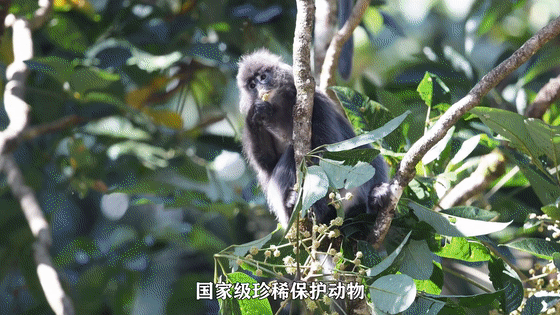 云南省文化和旅游厅