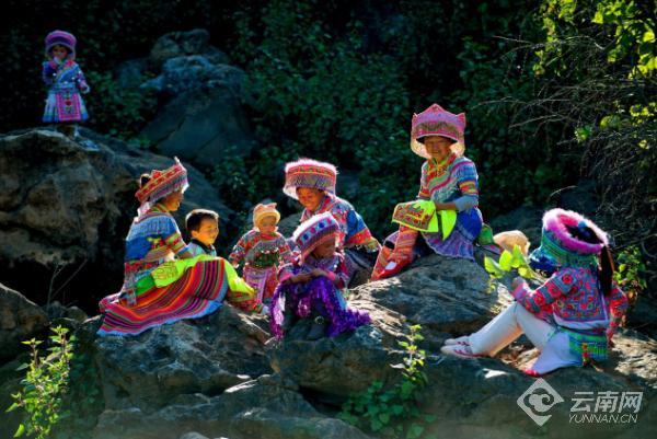 云南省文化和旅游厅