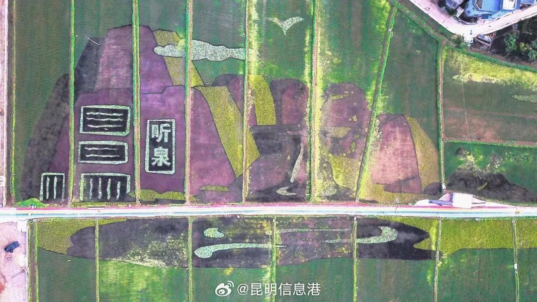 昆明信息港微博