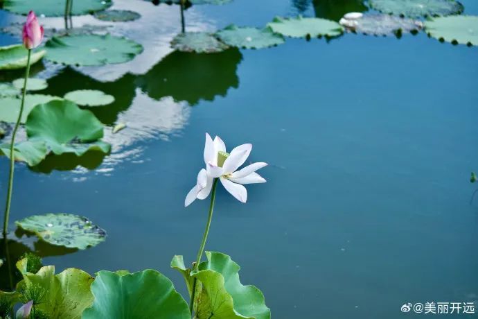 云南省文化和旅游厅
