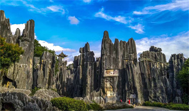 云南省文化和旅游厅