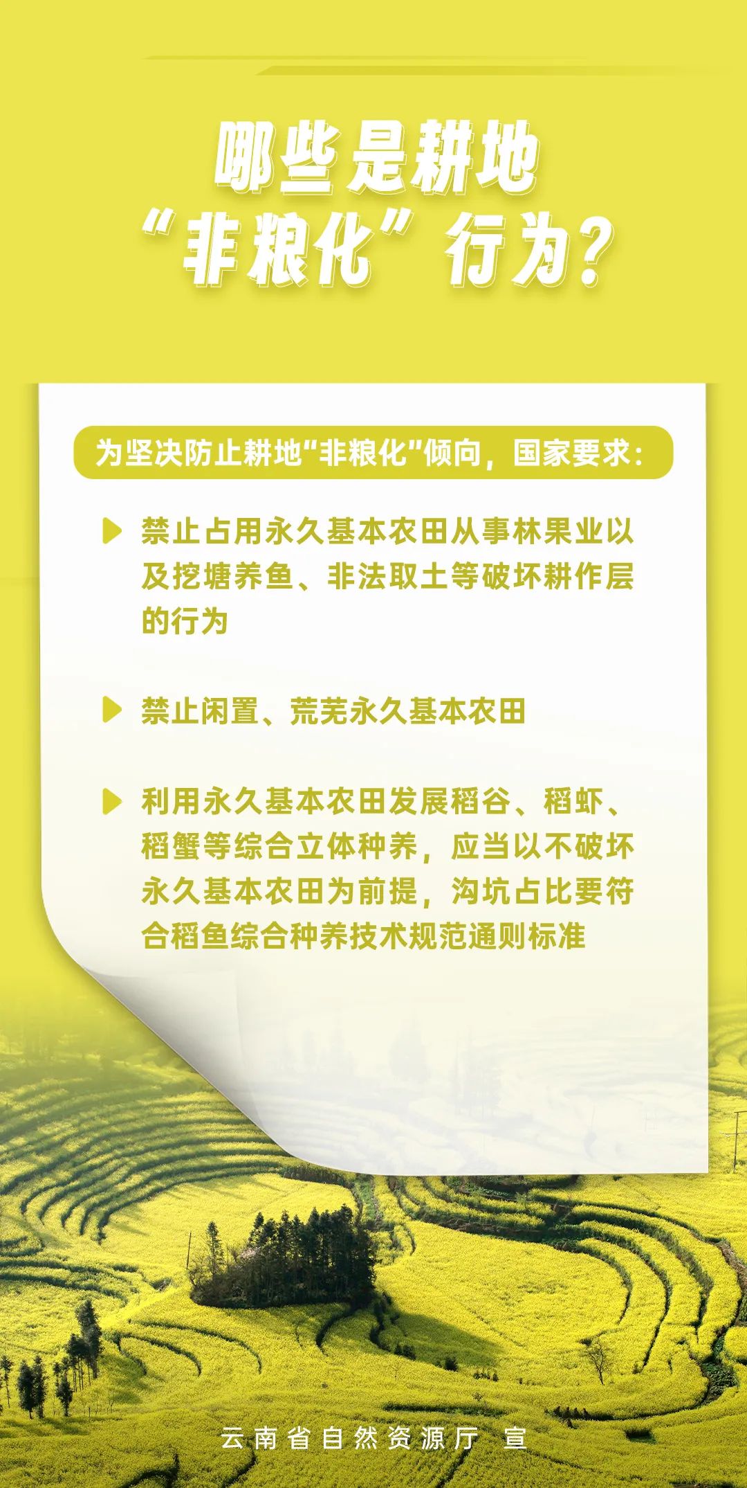 宜良之窗
