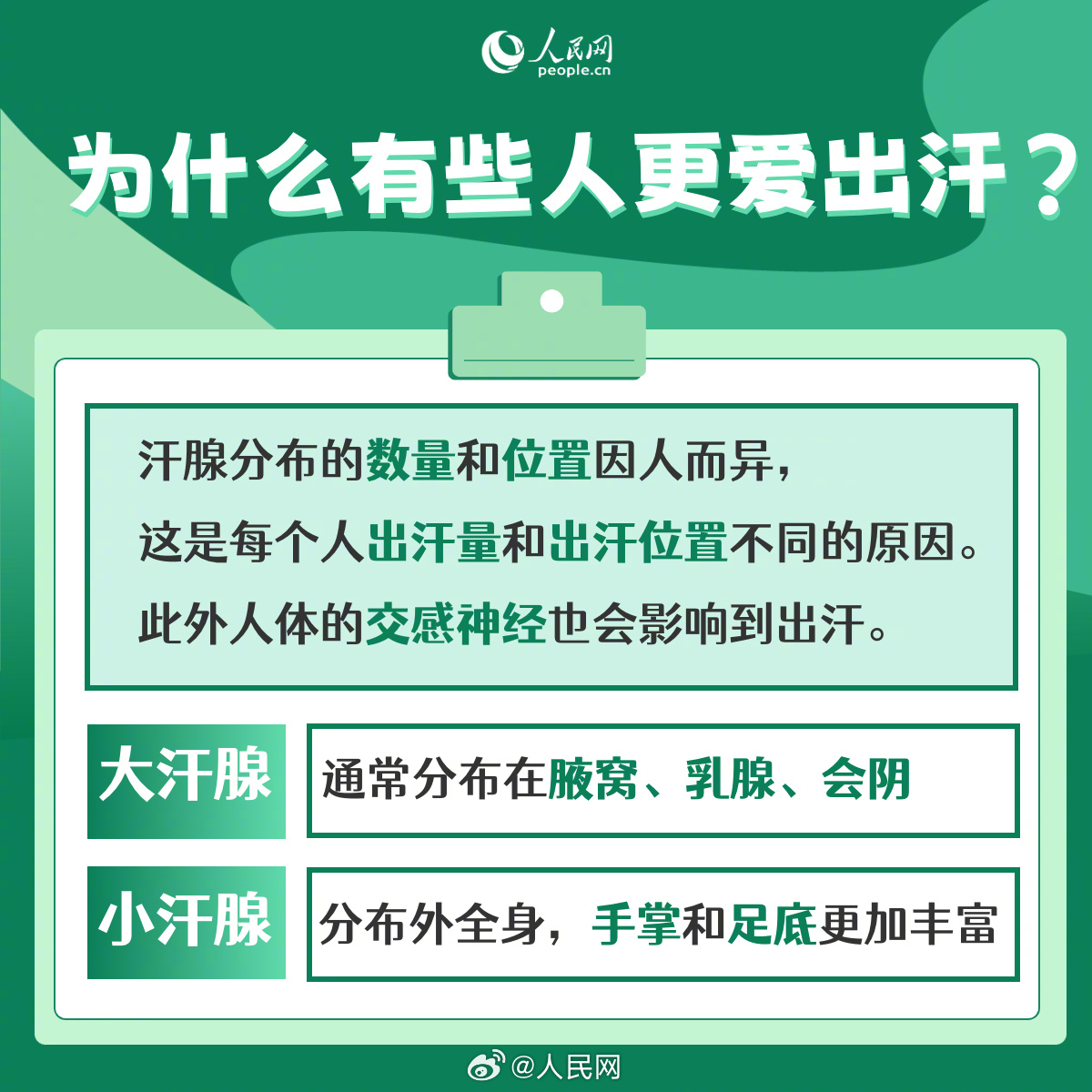 人民网
