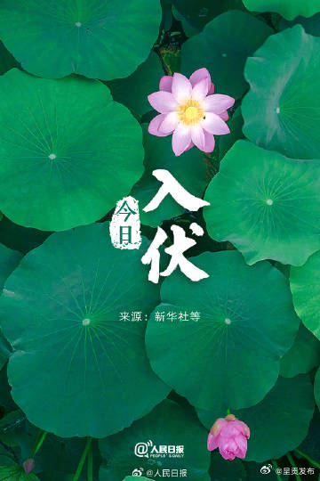 呈贡发布