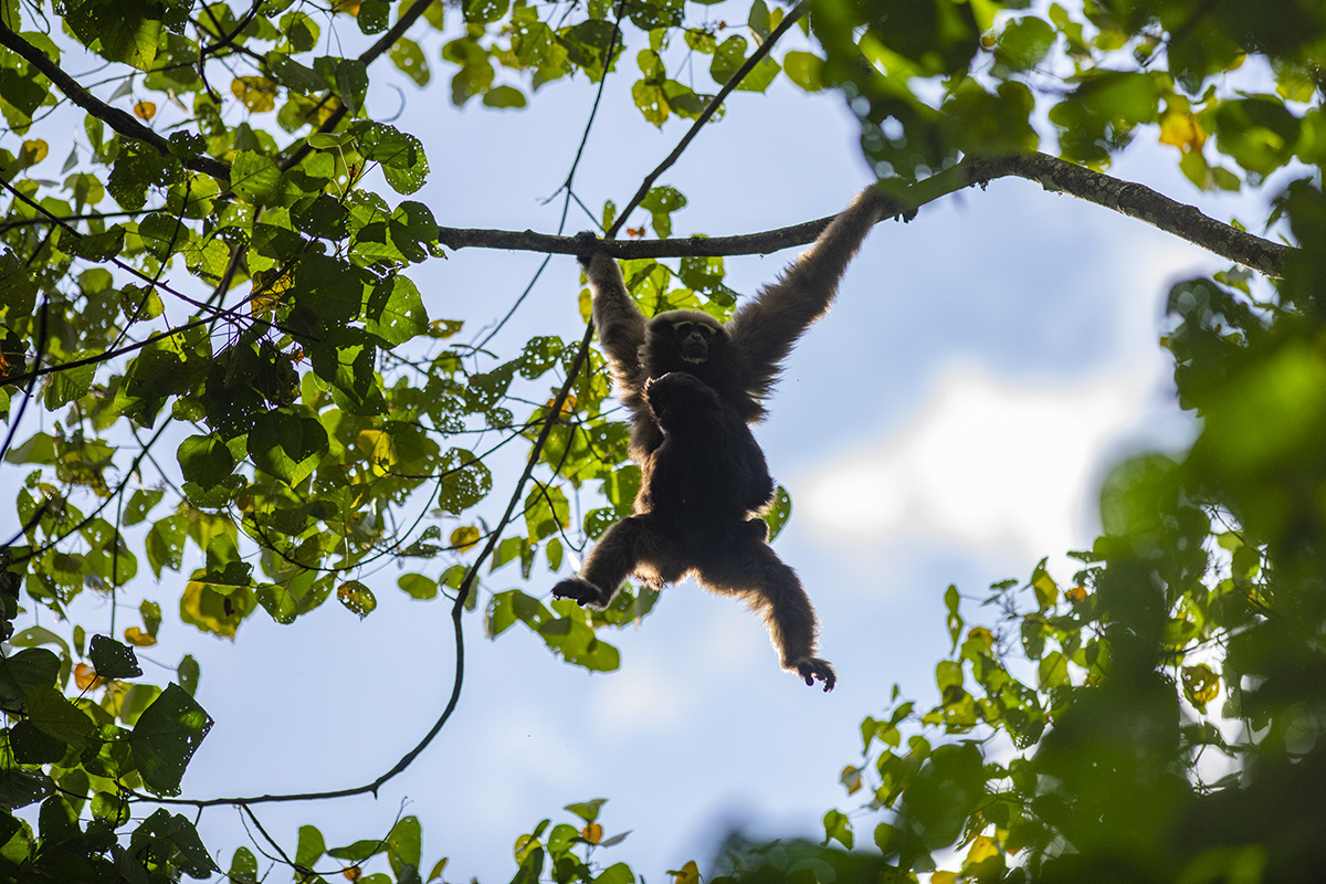 云南省文化和旅游厅