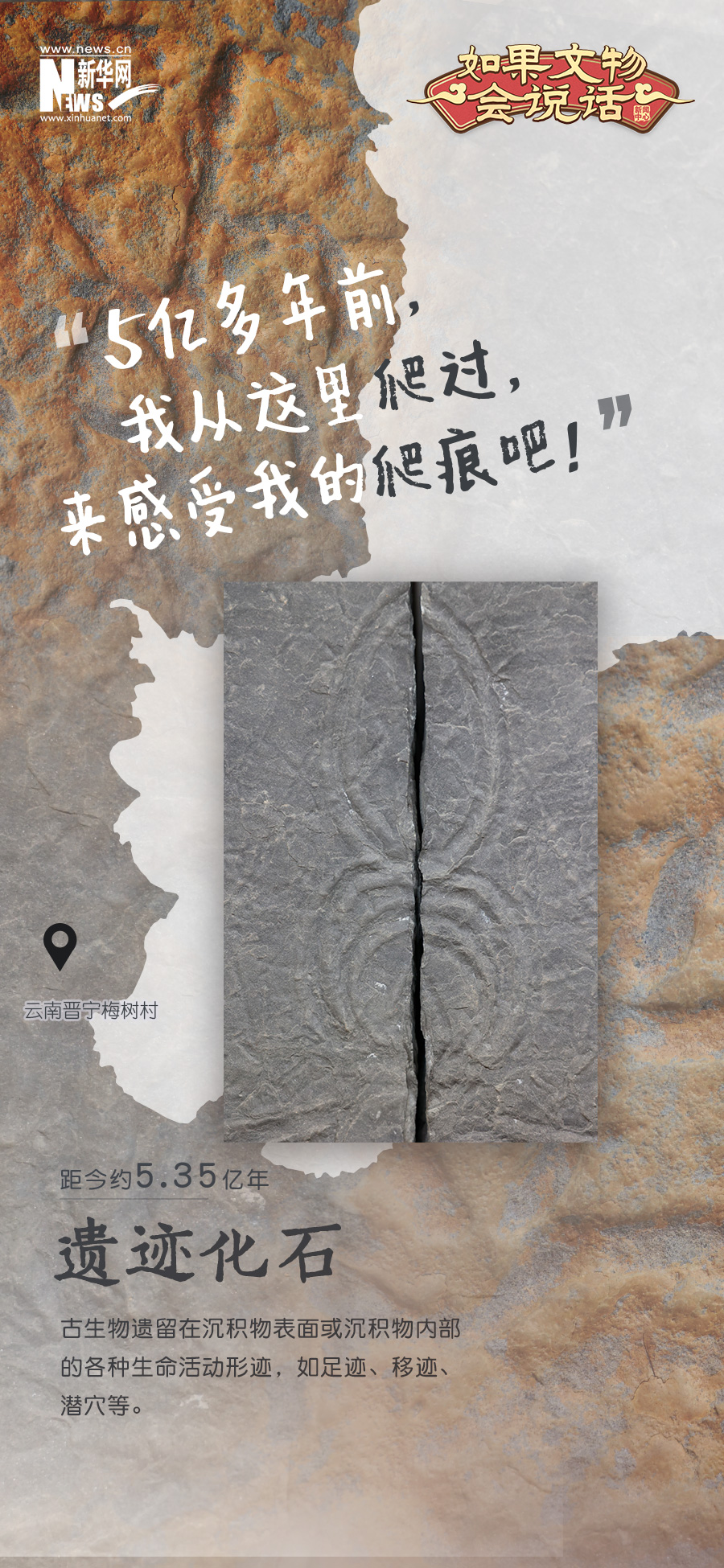 云南省文化和旅游厅