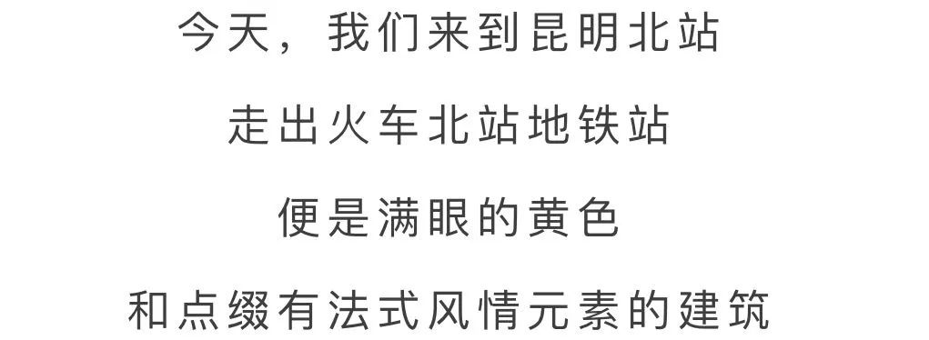 微观盘龙