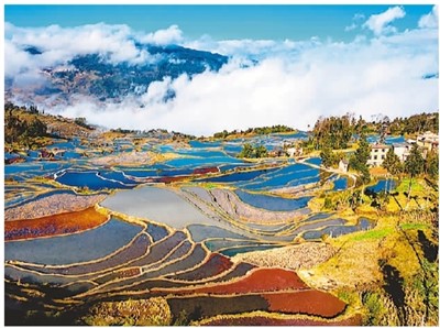 云南省文化和旅游厅