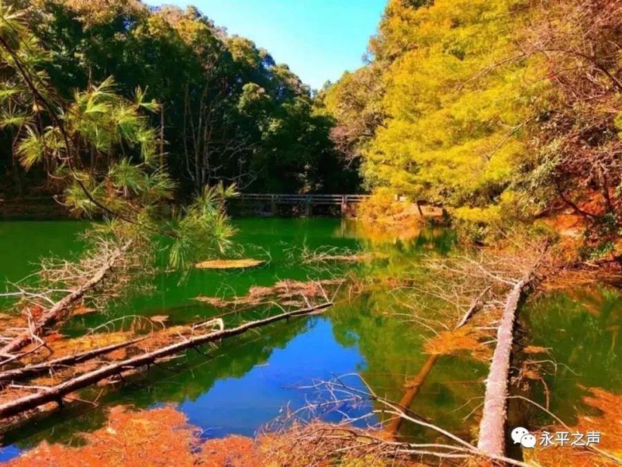 云南省文化和旅游厅