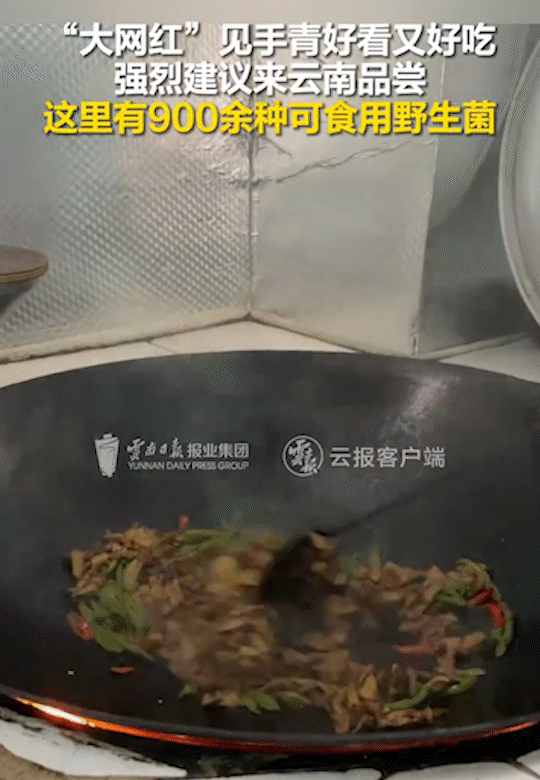 昆明盘龙发布