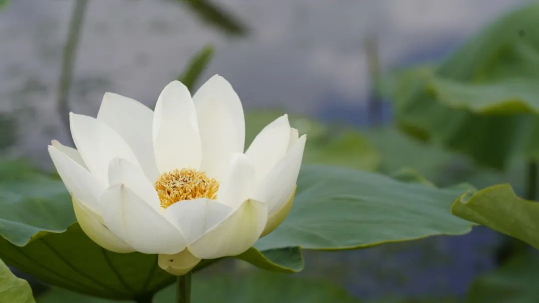 晋宁诗意的栖居地