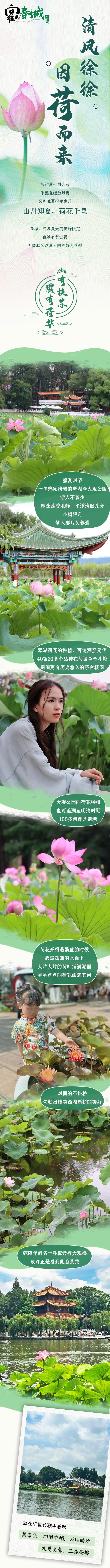 掌上春城微信