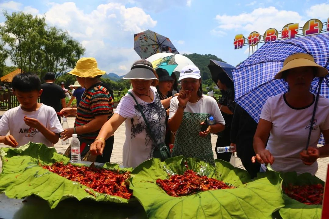保山新闻网