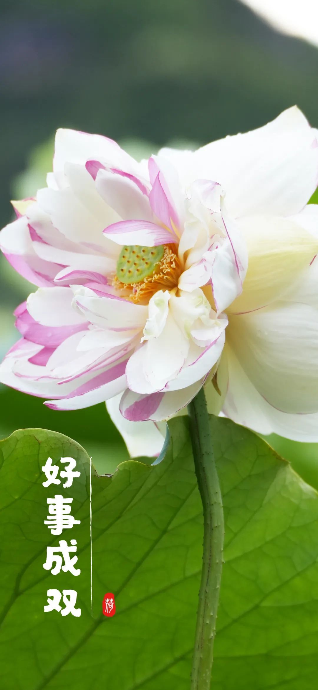 云南省文化和旅游厅