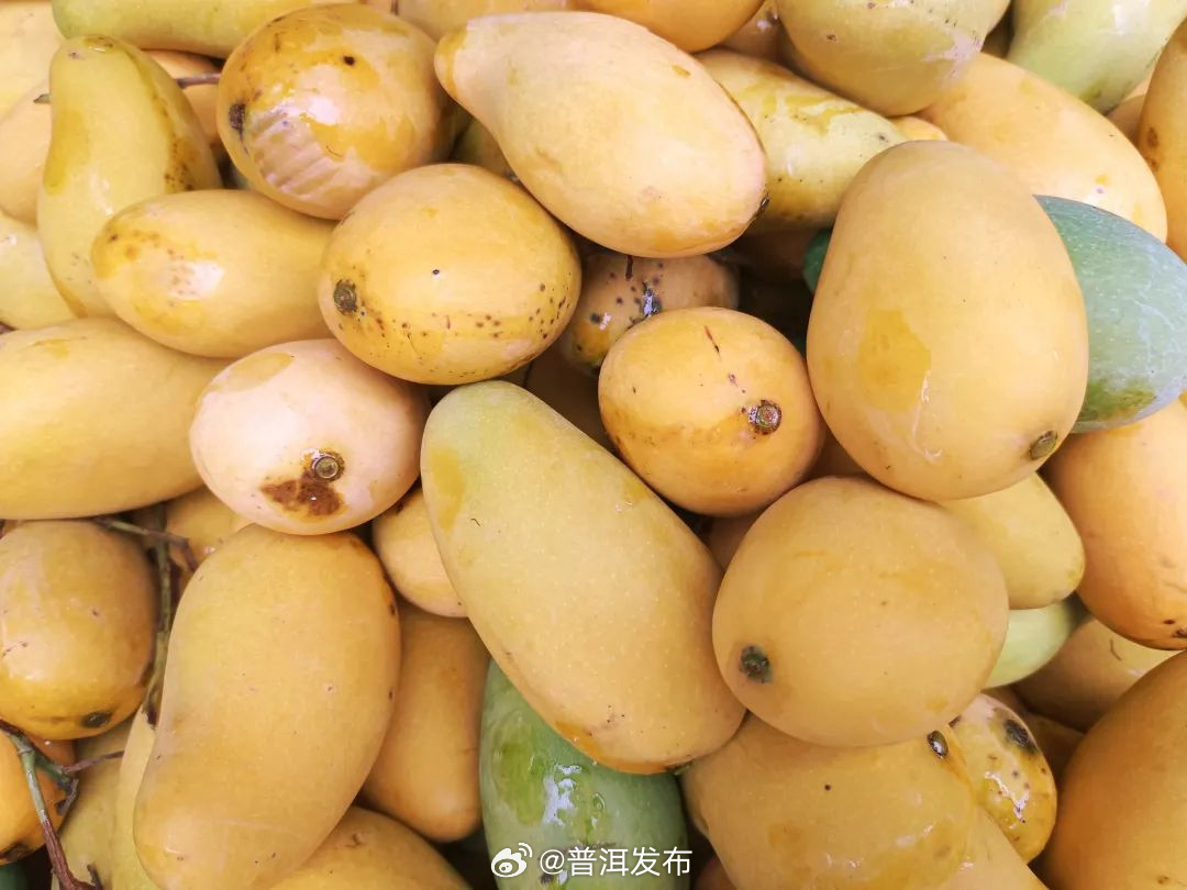 普洱发布