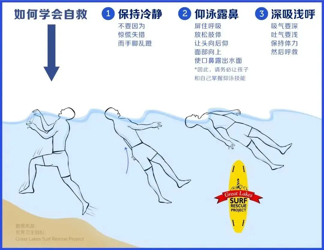 微观盘龙