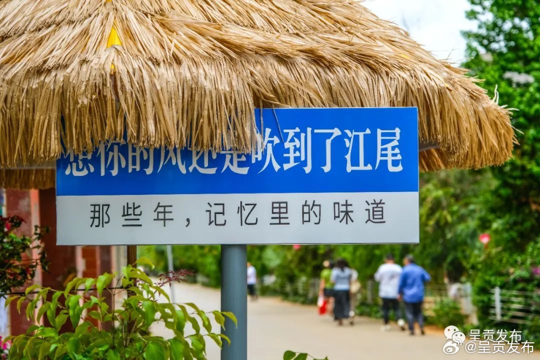 呈贡发布