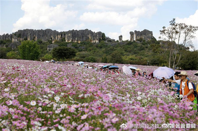 昆明经济技术开发区管委会