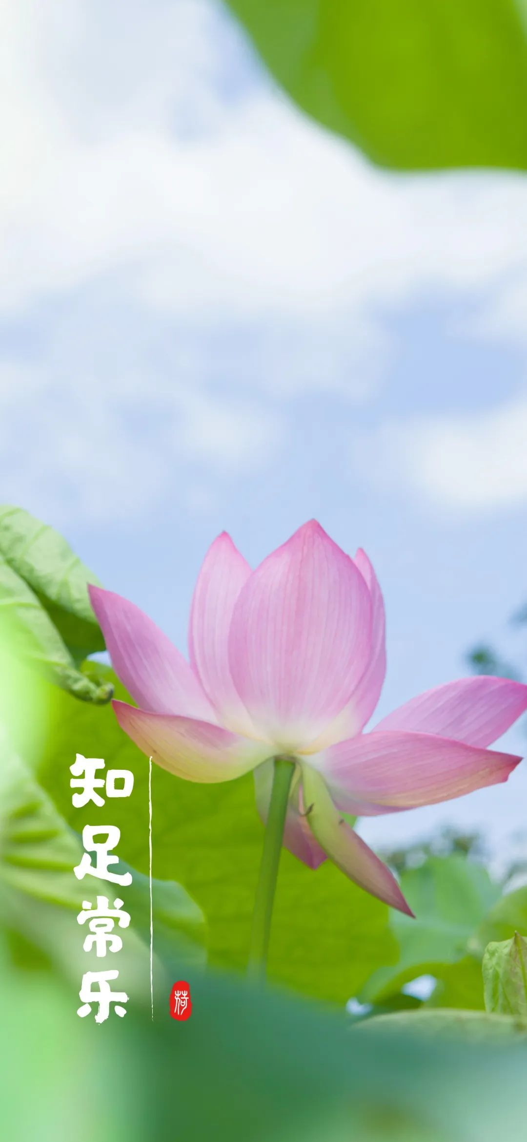 云南省文化和旅游厅