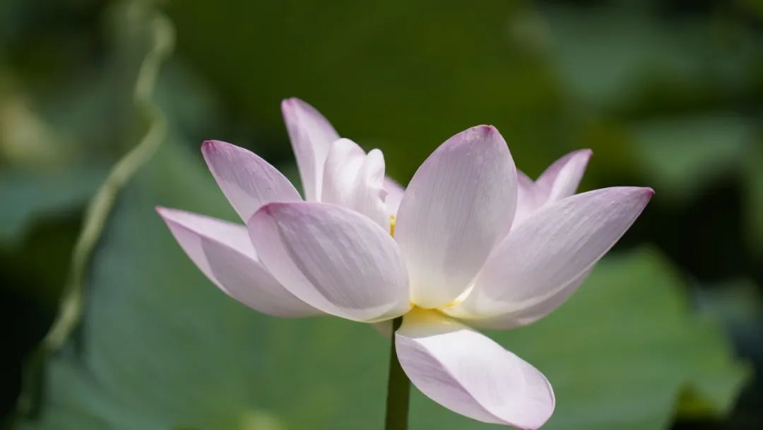 晋宁诗意的栖居地