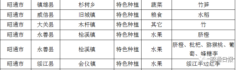 昭通日报