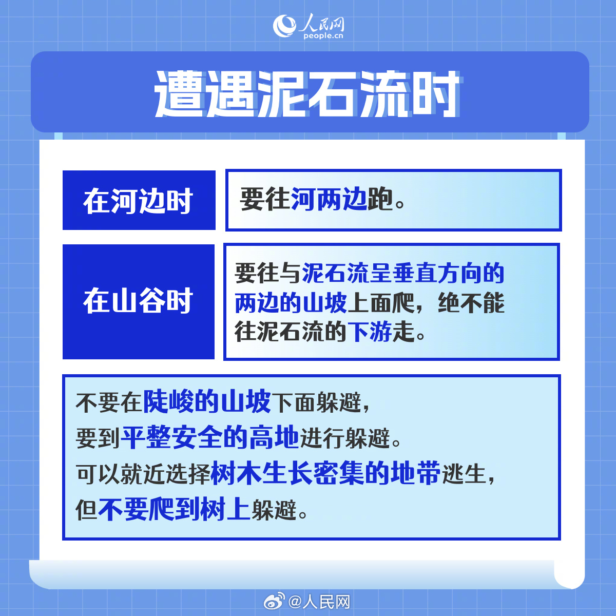 人民网
