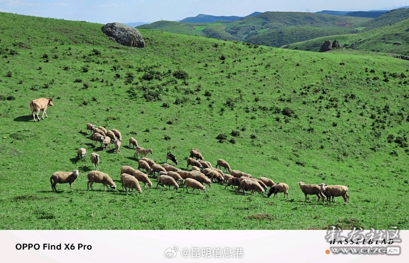 昆明信息港微博