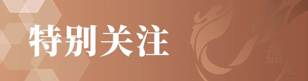 盘龙教育
