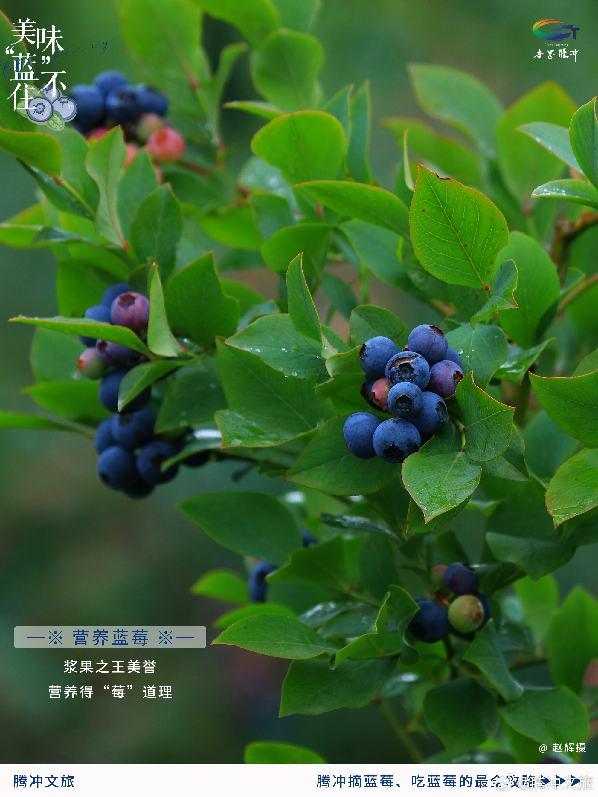 腾冲文旅