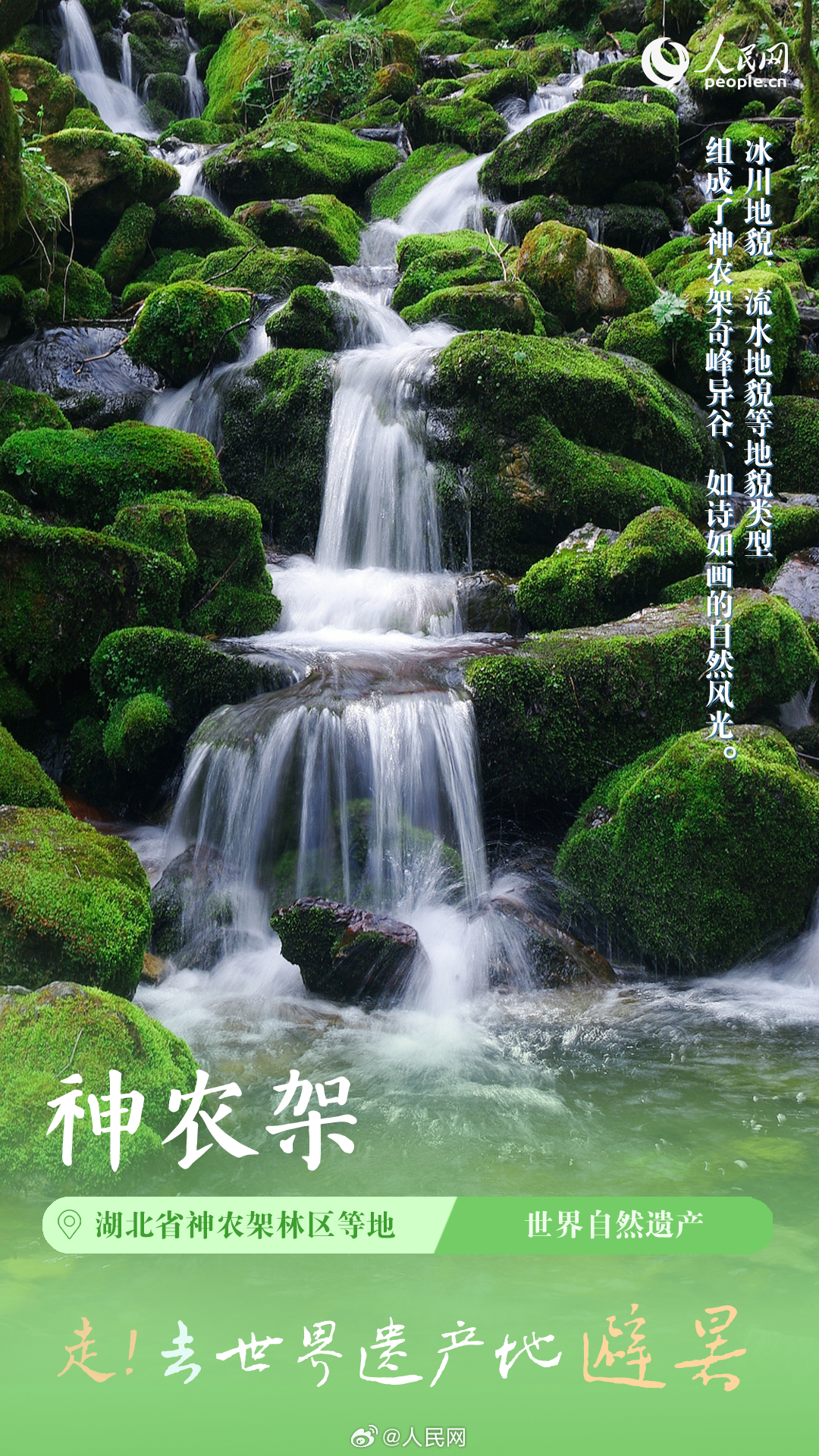 人民网