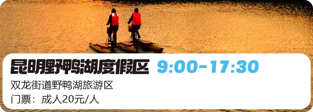 微观盘龙